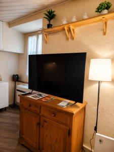 a large flat screen tv on a wall at Studio 4 places - Centre-ville in Ax-les-Thermes