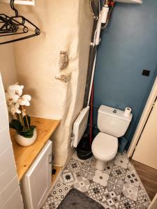 a small bathroom with a toilet and a sink at Studio 4 places - Centre-ville in Ax-les-Thermes +5 photos