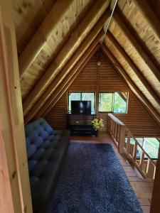 a living room with a couch and a tv in a cabin at Chalet Amar in Mazo