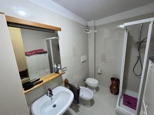 a bathroom with a sink and a toilet and a shower at Casa Adry in Cles