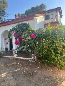 a house with a tree with flowers in front of it at Chalet con piscina en Carmona in Carmona