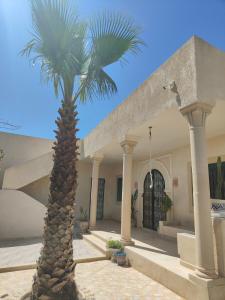a palm tree in front of a building at Villa Nour Kélibia in Kelibia
