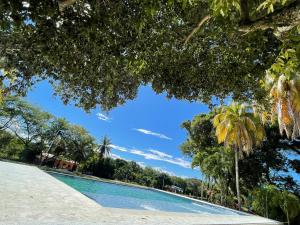 a swimming pool with trees and a blue sky at Restaurante - Hotel Los Manguitos in Rivera +18 photos