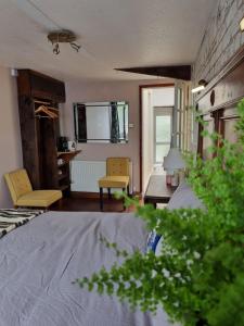 a living room with two yellow chairs and a table at Room at Lindley in Ludlow +2 photos