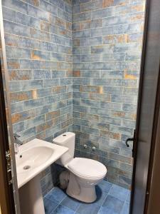 a bathroom with a toilet and a sink at Kaprovani Sani Villa in Urekis Sadguri