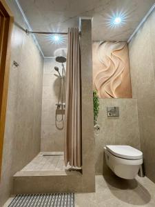 a bathroom with a shower and a toilet in it at Männimetsa in Narva-Jõesuu +3 photos