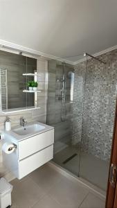 a bathroom with a shower and a sink and a glass shower stall at Domeniul H in Rişca +18 photos