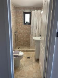 a bathroom with a toilet and a sink at Mesovouni Stone Suites 1 in Mesovounion-Zagori +13 photos