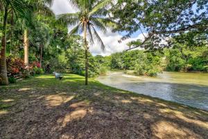 a palm tree standing next to a river at Toucan Suite @ Mahogany Hall in San Ignacio