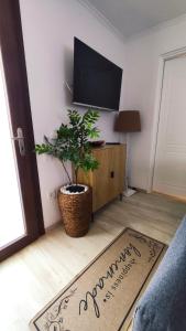 a living room with a potted plant and a television at Villa Aura, Kanalia Corfu in Corfu