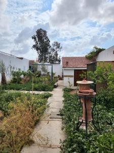 a garden with a birdbath in the middle of a walkway at Séjour Traditionelle in Oulad Teïma