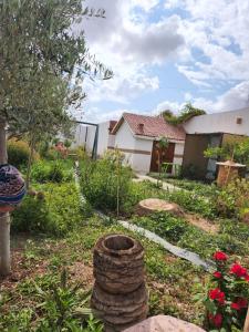 a garden with a stack of tires in the yard at Séjour Traditionelle in Oulad Teïma