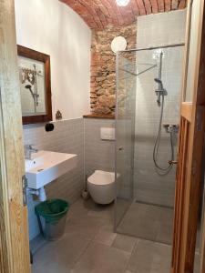 a bathroom with a shower and a toilet and a sink at Agroturystyka Muraszkowa Zagroda in Giebułtów