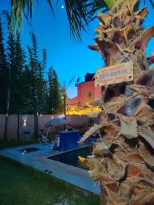 a palm tree next to a swimming pool at night at FERME Mama Aïcha in Kenitra