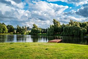 a small dock in the middle of a lake at Domki w Parku in Pępowo