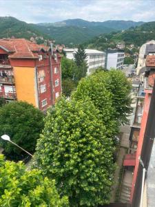 a group of trees on the side of a building at Apartman Centar-moderan dvosoban stan u centru in Priboj