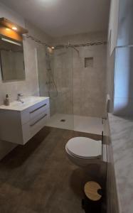 a bathroom with a toilet and a sink and a shower at Apartma Nad Klancem in Most na Soči