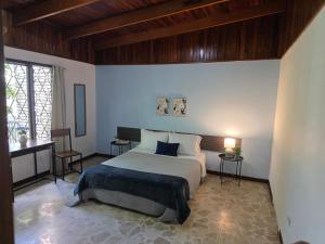a bedroom with a large bed in a room at casa luca in San José