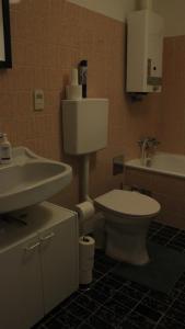 a bathroom with a toilet and a sink at 35 Square meter Apartment in Sankt Pölten