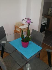 Gallery image of Apartment Jelena in Zrenjanin