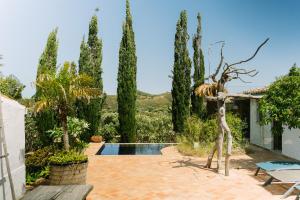 a villa with a swimming pool and trees at Monte D´Sancho in Aljezur