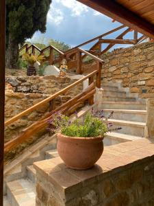 a potted plant sitting on a stone staircase at Fuga dalla città in Aidone