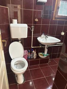 a bathroom with a toilet and a sink at Mate Apartmani in Bijelo Polje