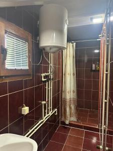 a bathroom with a shower with a toilet and a window at Mate Apartmani in Bijelo Polje