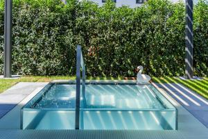 a swan standing on top of a swimming pool at Landidyll Hotel Restaurant Weidenbrück & SPA in Swisttal