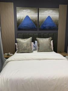 a bedroom with a large white bed with two pillows at Asanta Guest House in Ladysmith