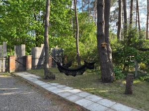 a hammock hanging between two trees in a cemetery at Rodzinne Zacisze in Radawa