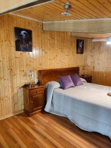 a bedroom with wooden walls and a bed with purple pillows at Casa Alcántara in Vilamelle
