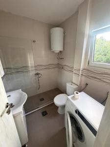 a bathroom with a toilet sink and a washing machine at B-I Apartmani in Glavatske Kućice +58 photos