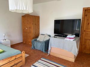 a living room with a large television and a bed at Ferienwohnung Pieck in Raduhn
