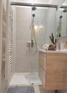 a shower in a bathroom with a glass shower at Studio cosy Le3bis proche Cap d'Agde in Bessan