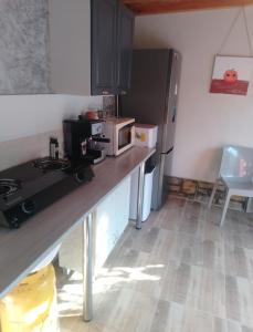 a kitchen with a counter top with a microwave at Irina Holiday House in Mangalia