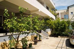 a house with a tree in front of it at Guest House by Roni in Durrës