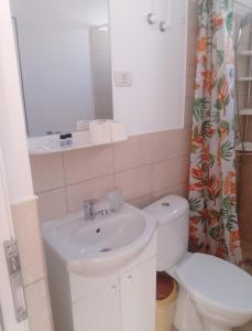 a bathroom with a sink and a toilet and a mirror at Irina Holiday House in Mangalia