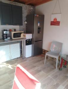 a kitchen with a refrigerator and a table and a microwave at Irina Holiday House in Mangalia +25 photos