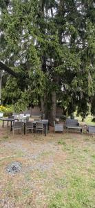 a group of tables and benches under a tree at Raju - Guest House in Seinäjoki