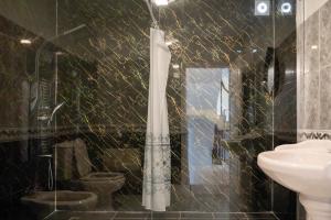 a bathroom with a shower and a toilet at Casa Borboleta in Arco da Calheta +32 photos