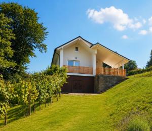 a house on top of a hill with a yard at Vinea Apartma in Gornja Radgona