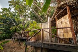 a wooden hut in a forest with trees at EL bosque mica in Minca