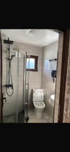 a bathroom with a toilet and a shower and a sink at NikO's Stay in Mestia