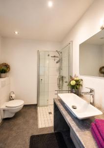 a bathroom with a sink and a toilet and a shower at Lifestyle in Kurort Steinbach-Hallenberg +20 photos