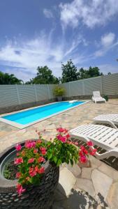 a swimming pool with a tire with flowers in it at Kéra Lodge in Rivière-Pilote