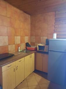 a kitchen with a sink and a refrigerator at Kļūda 2 in Biksinīki
