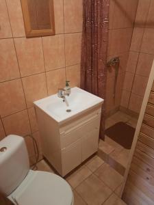 a bathroom with a toilet and a sink and a shower at Kļūda 2 in Biksinīki +34 photos