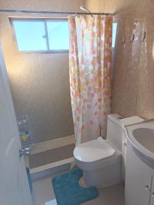 a bathroom with a toilet and a shower and a sink at Cabaña Litueche in Los Manantiales +5 photos