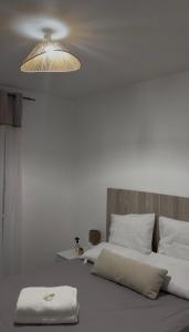 a bedroom with two beds and a light fixture at Appartement Kazalya in Sainte-Rose